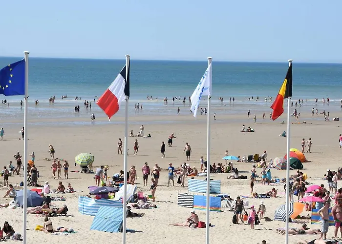 L\'Octopus - Appartement 2 Adultes 2 Enfants Jardin, Proche Centre Et Plage